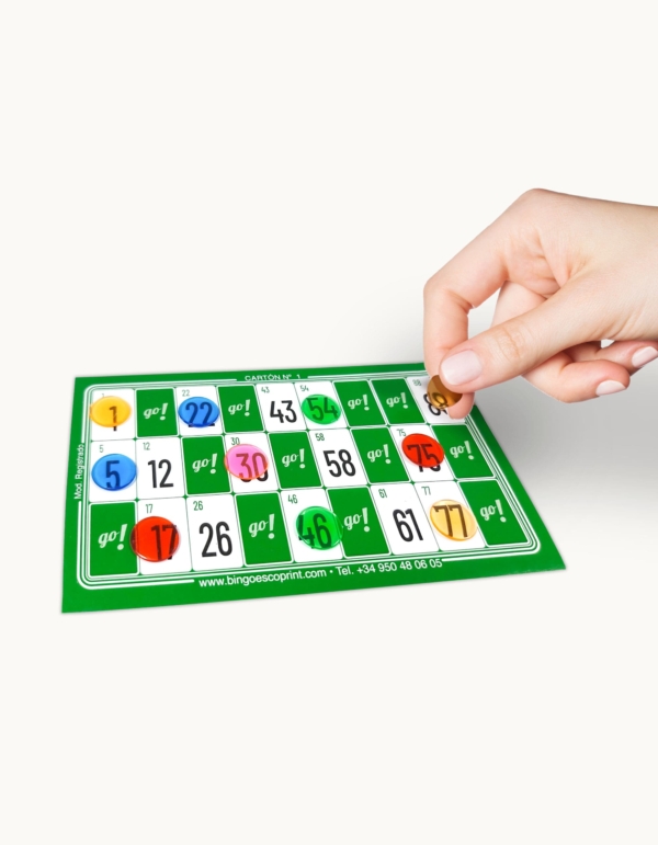 cartones de bingo xxl individual sin troquelar