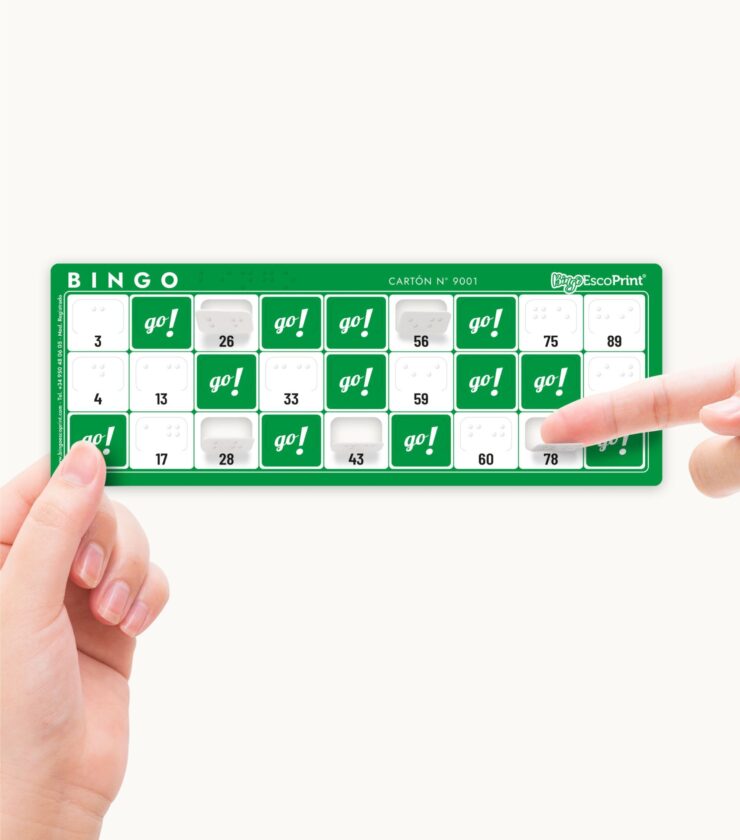 CARTONES DE BINGO PARA CIEGOS